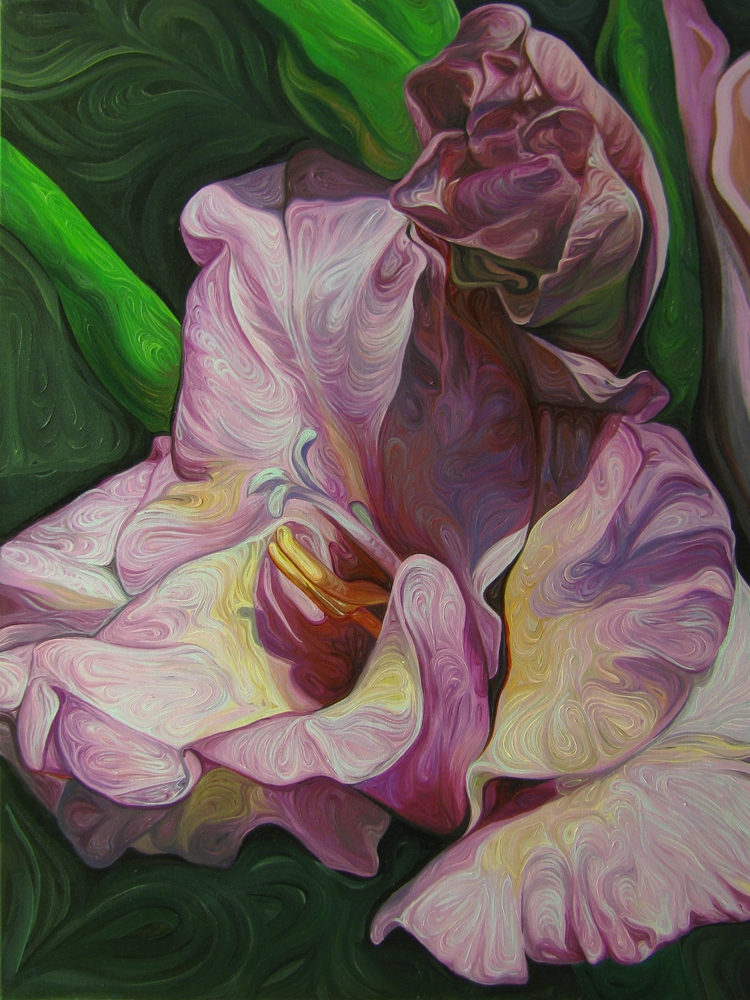 Pink Gladiolus