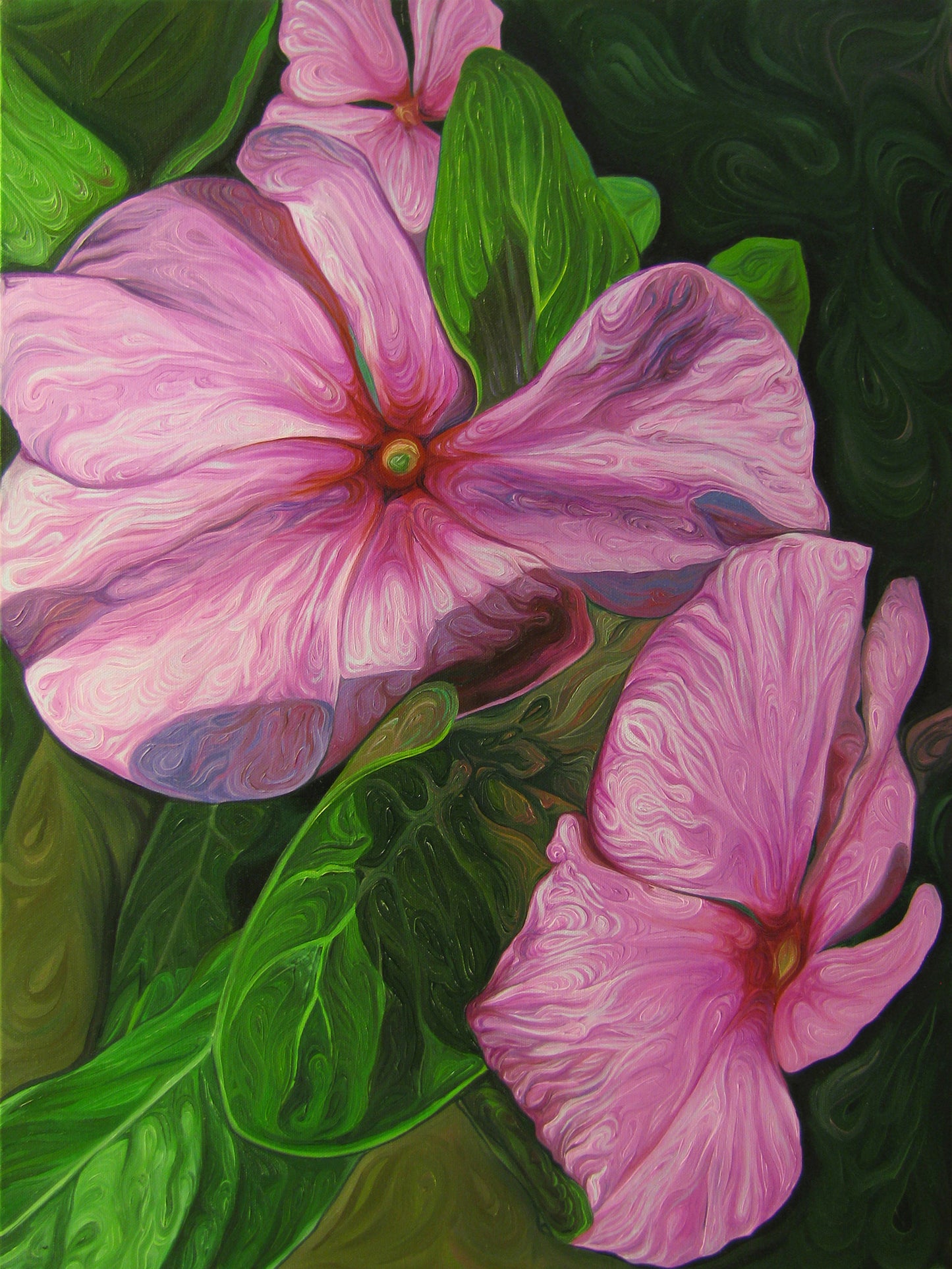 Magenta Geraniums