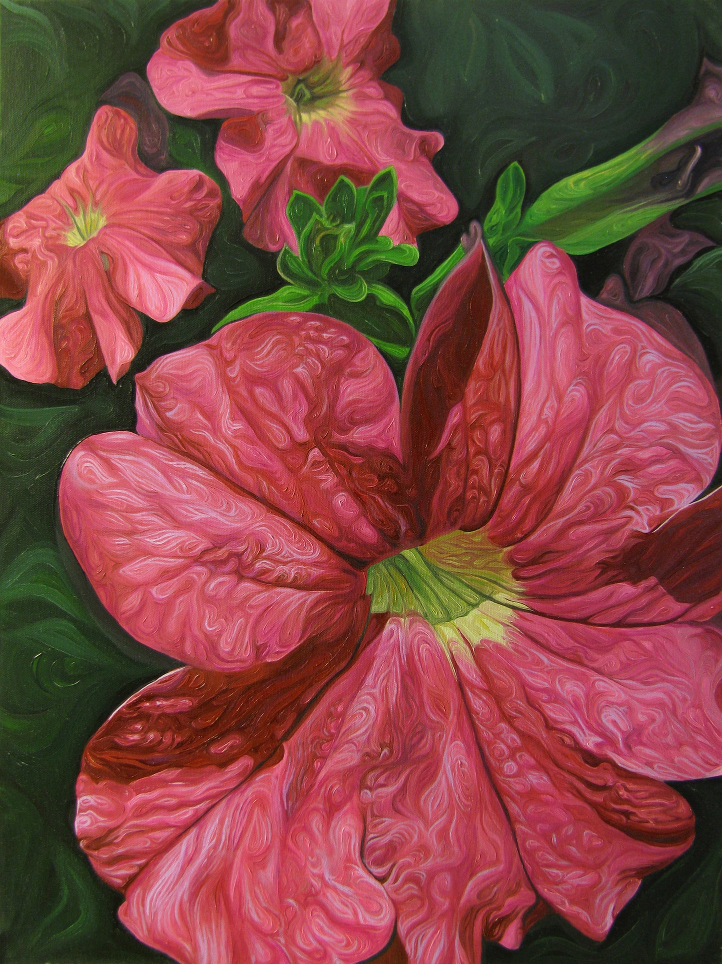 Pink Petunias