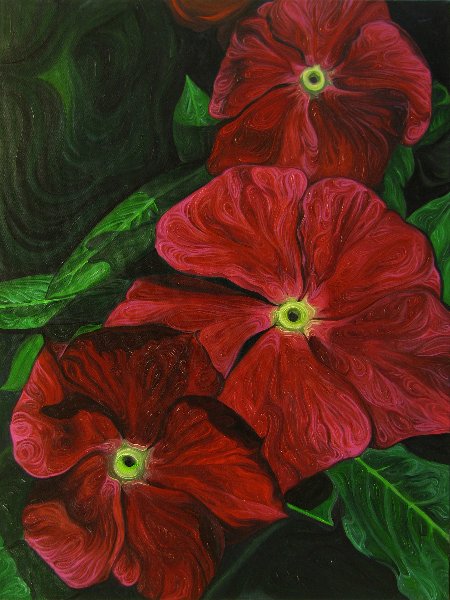 Red Geraniums
